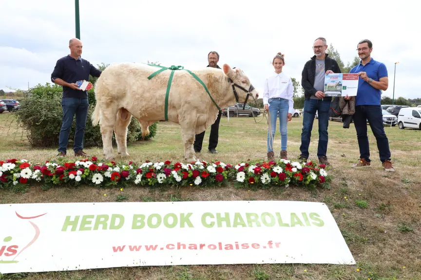 concours charolaise