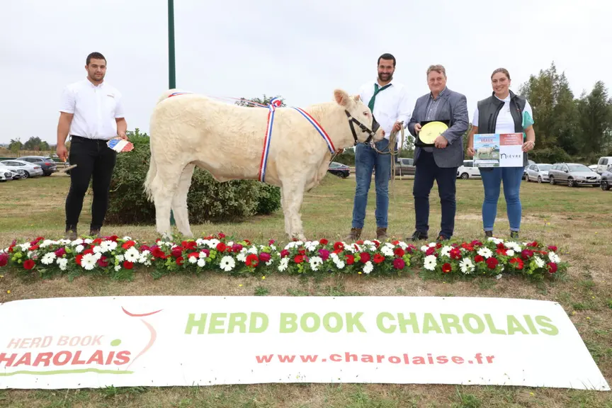 concours charolaise
