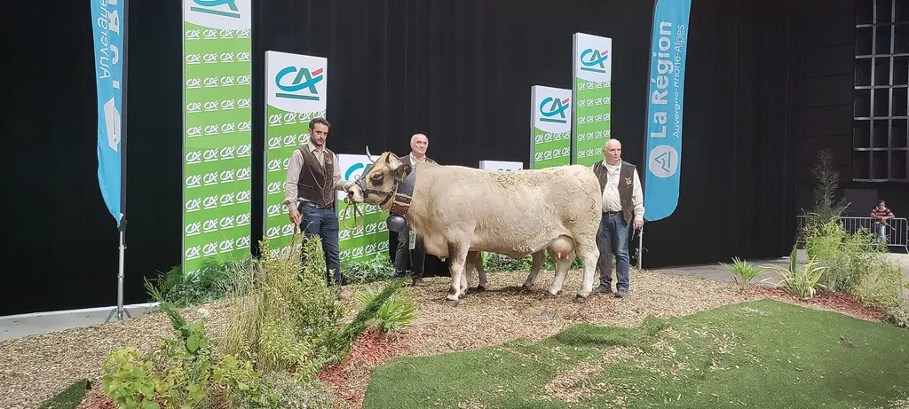 Joconde, Gaec de Barrio dans l’Aveyron