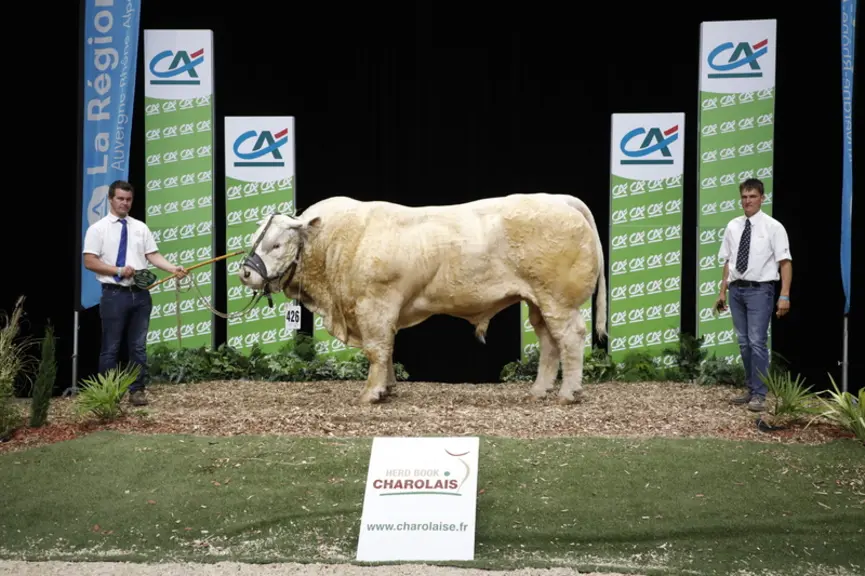 Picador, Gaec Micaud dans l’Allier