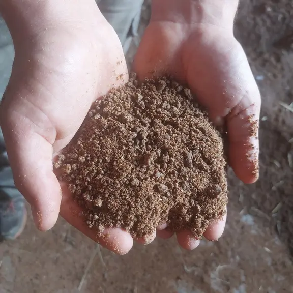 La graine de lin extrudée apporte des oméga-3, des antioxydants et du mucilage.