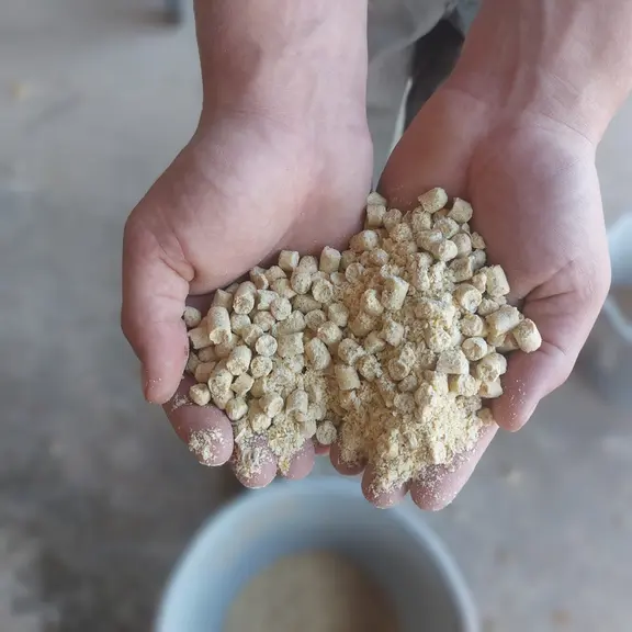 Le coproduit de maïs est concentré en protéines et lipides.