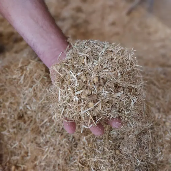 Les ingrédients de la ration sont mélangés avec de la paille et du foin de luzerne.