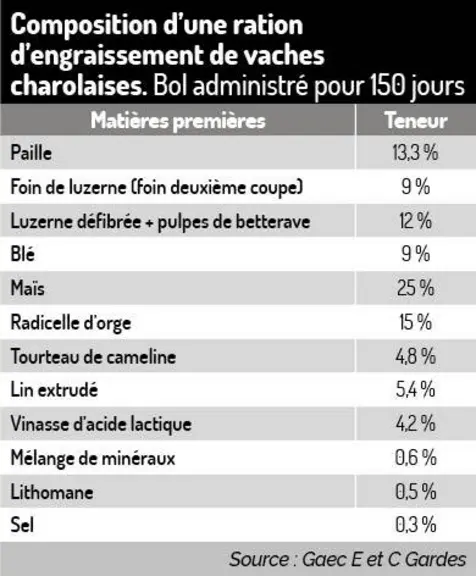 Des charolaises Bleu Blanc Cœur dans les cantines toulousaines