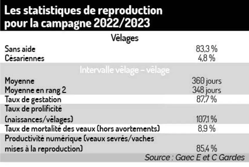 Des charolaises Bleu Blanc Cœur dans les cantines toulousaines