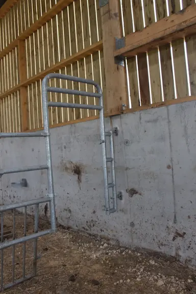 Dans le boxe de vêlage, un portillon permet de passer facilement une vache dans le boxe d'à côté sans ouvrir les grandes cases. Le boxe de vêlage est