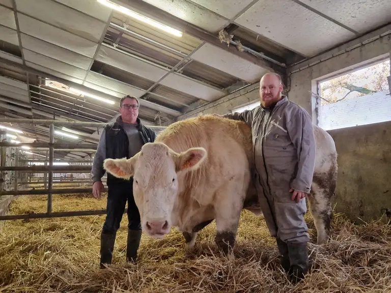 Alexis et Bernard Roudier. « Maintenant nous travaillons sur notre préparation au vêlage et nous poursuivons la mesure de la qualité du colostrum »
