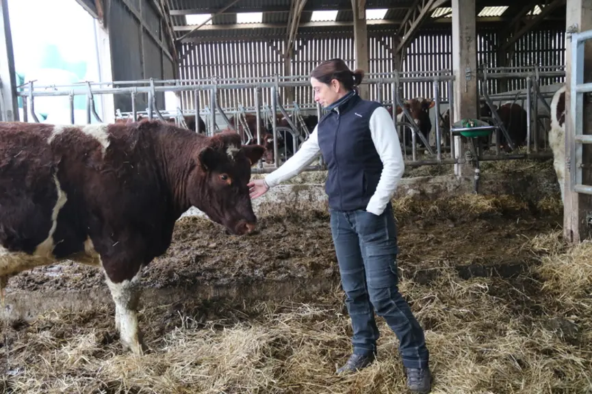 Parmi les éleveurs de bovins viande de plus de 40 ans, un sur quatre est une éleveuse. En revanche, chez les moins de 40 ans, les femmes ne représente