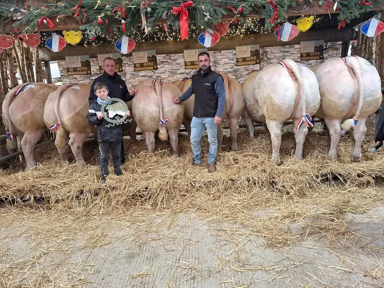 Festival de Charolles