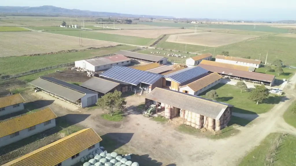 Créée en 1976 à Villeneuve-du-Paréage en Ariège, la station Pepirag fut la première station de sélection de bovins allaitants en France. 