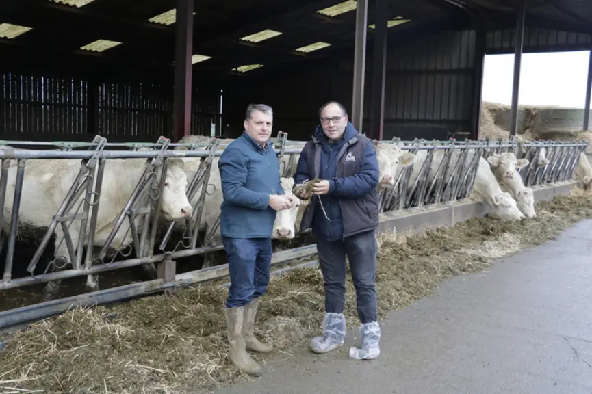 Boiteries en bovins viande : Avoir plusieurs cordes à son arc