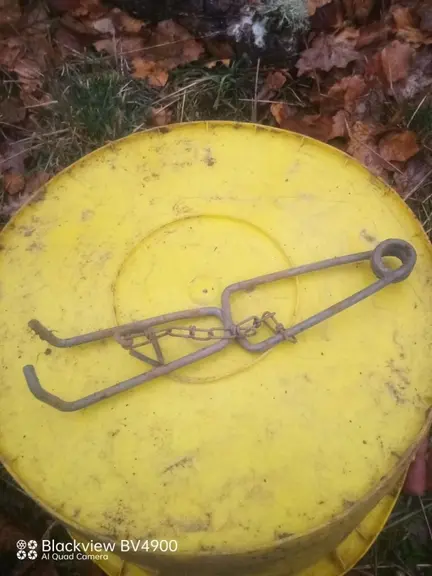 campagnol terrestre piégeage mécanique