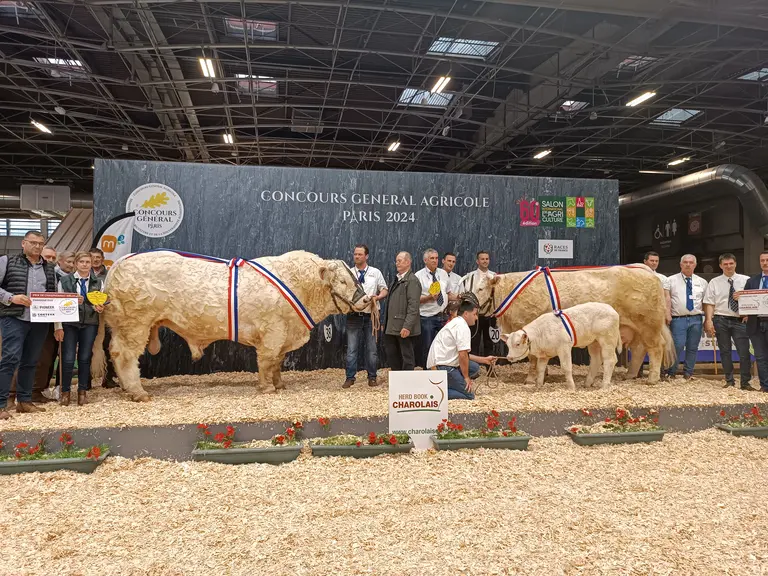 concours charolaise salon de l'agriculture 2024
