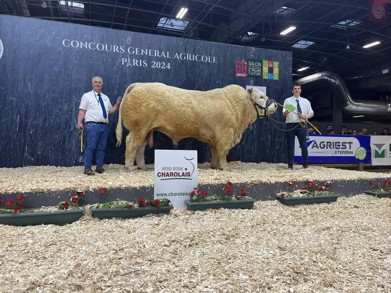 concours charolaise salon de l'agriculture 2024