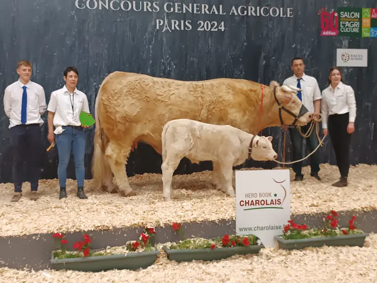 concours charolaise salon de l'agriculture 2024