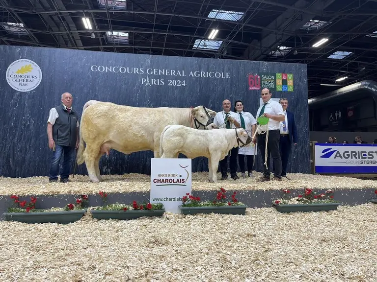 concours charolaise salon de l'agriculture 2024