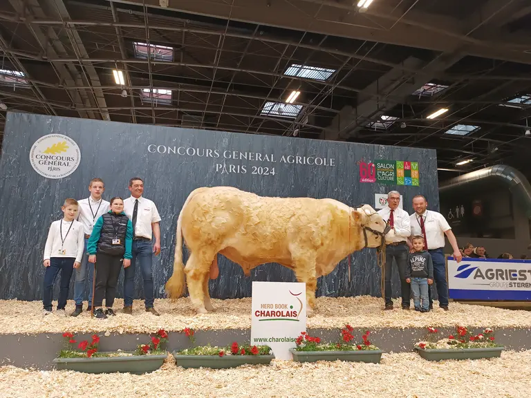 concours charolaise salon de l'agriculture 2024