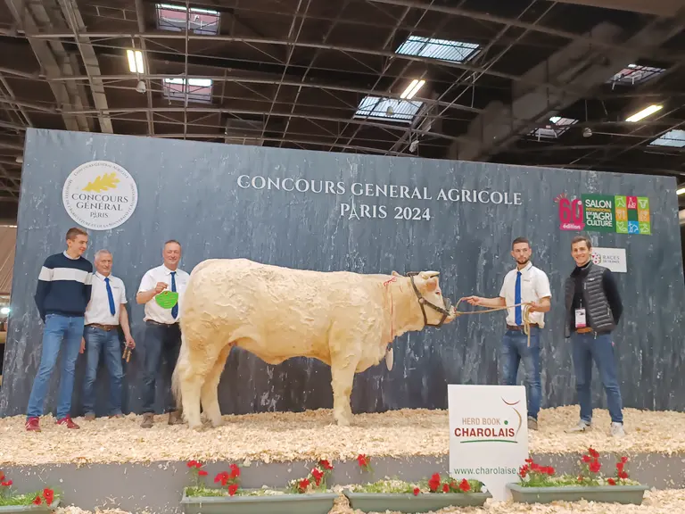 concours charolaise salon de l'agriculture 2024