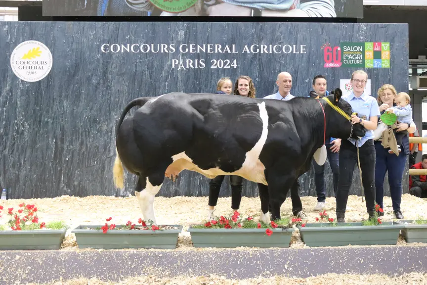concours de race blanc bleu