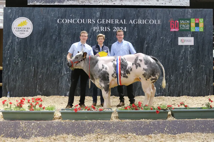 championne du concours de race blanc bleu