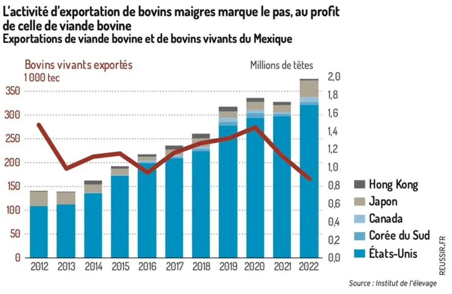 Graphique : L’activité d’exportation de bovins maigres marque le pas, au profit de celle de viande bovineExportations de viande bovine et de bovins vivants du Mexique