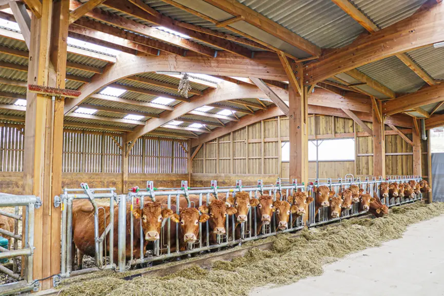 Chaque case à vaches compte 24 places, soit 96 au total. Les éleveurs ont opté pour une stalle bétonnée plein pied de 3 m pour faciliter les intervent