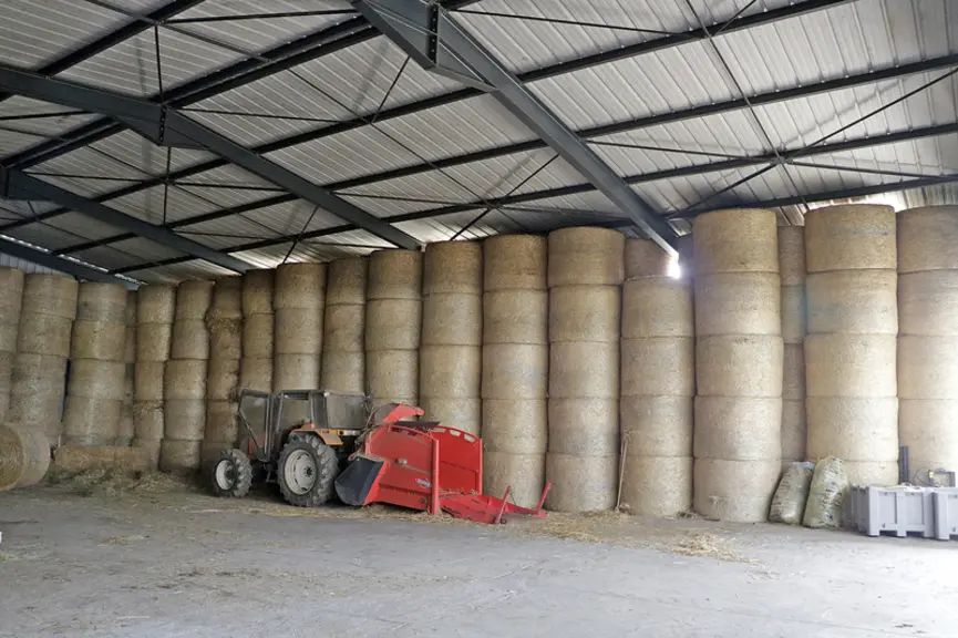 Stabulation aire paillée avec stockage fourrage élevage vaches limousines en Haute-Loire