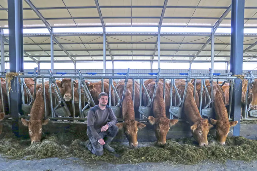 Stabulation aire paillée avec stockage fourrage élevage vaches limousines en Haute-Loire