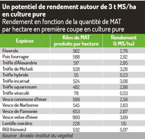 légumineuses annuelles trèfle vesce 