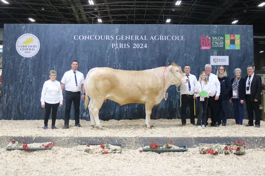 concours de race blonde d'aquitaine. La vache lauréate pose avec ses éleveurs.