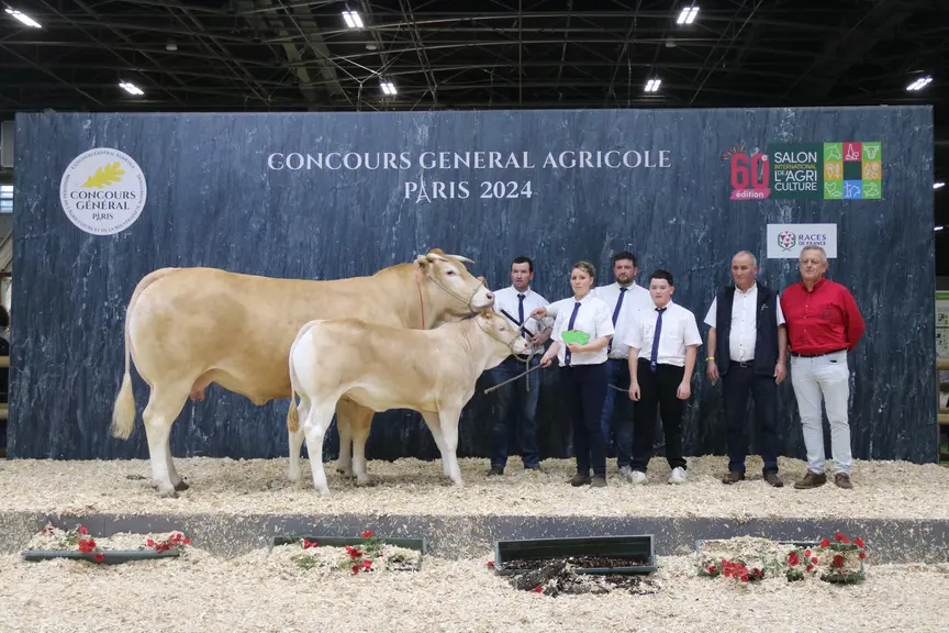 Concours de race blonde d'aquitaine. La vache lauréate et son veau posent avec leurs éleveurs.