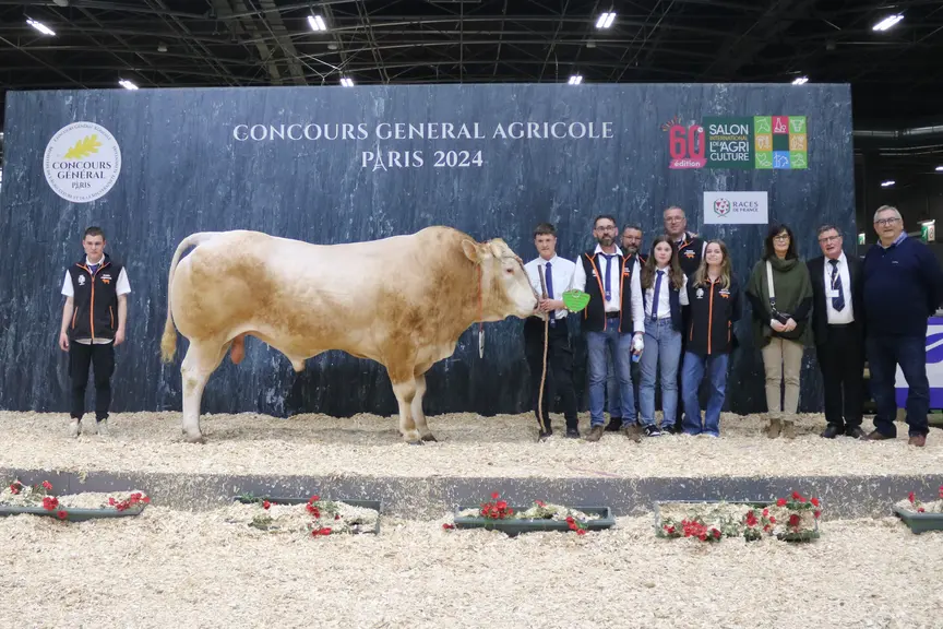 concours de race blonde d'aquitaine. Photo du taureau lauréat et de ses éleveurs.