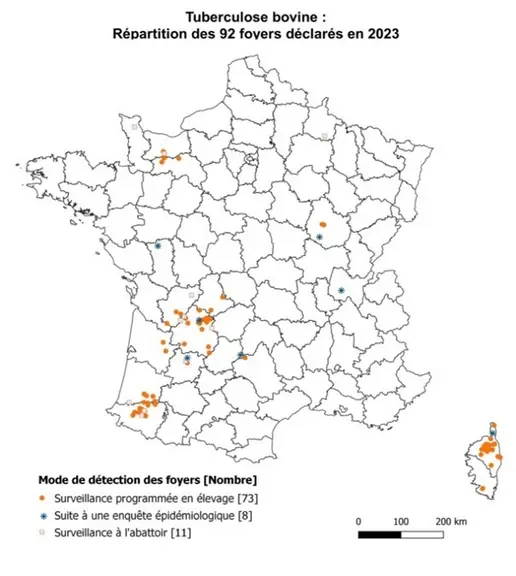 Tuberculose bovine - répartition des foyers en 2023