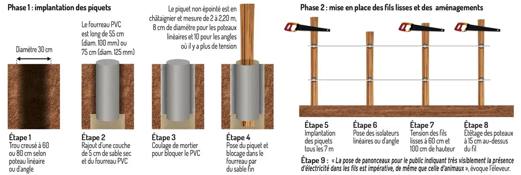 Graphique : schéma de l'implantation des piquets