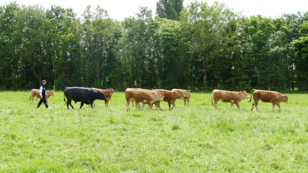 ferme expérimentale de Thorigné-d'Anjou dans le Maine-et-Loire