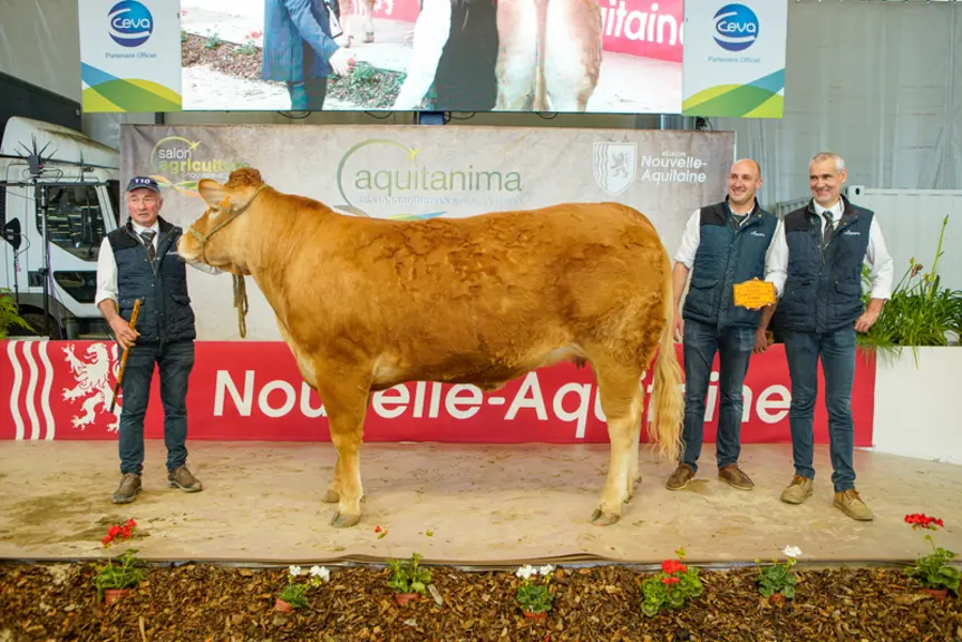 AQUITANIMA / PALMARES DU CONCOURS LIMOUSINES 2024