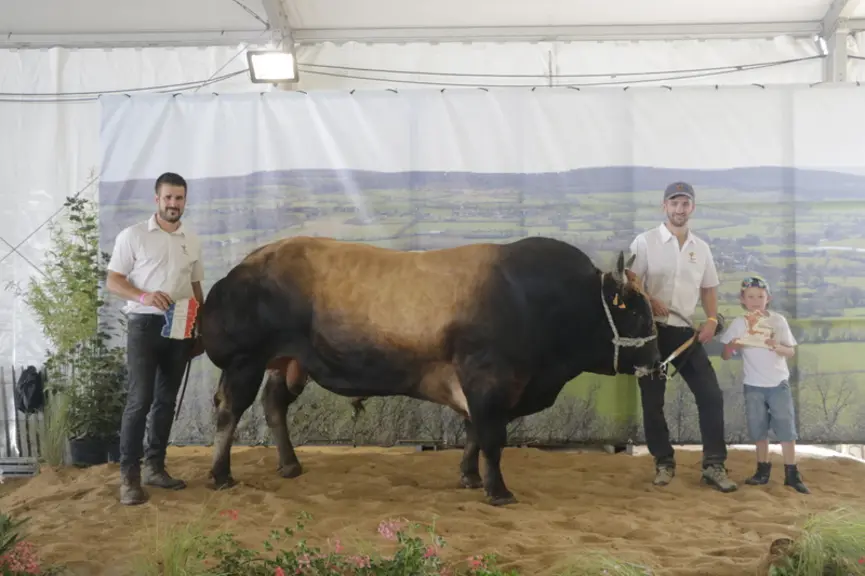 Concours national parthenais 2024 en Mayenne