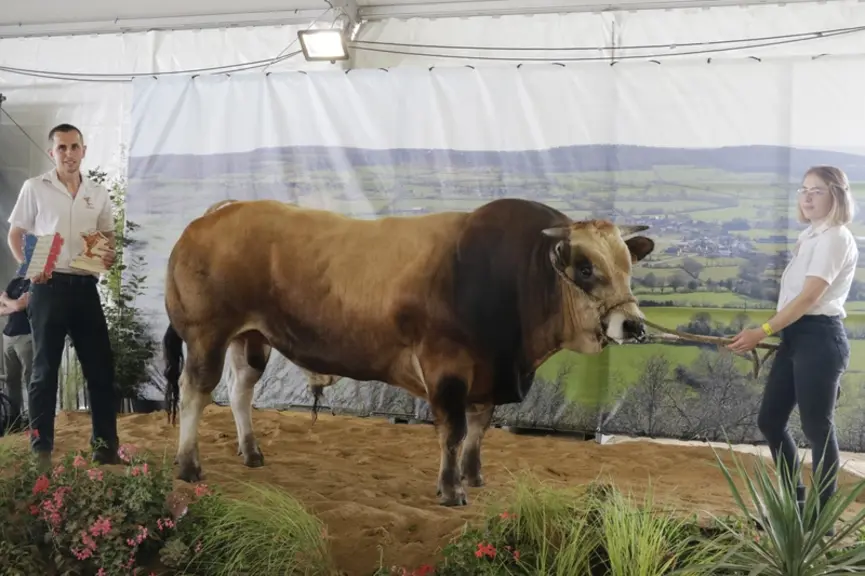 Concours national parthenais 2024 en Mayenne