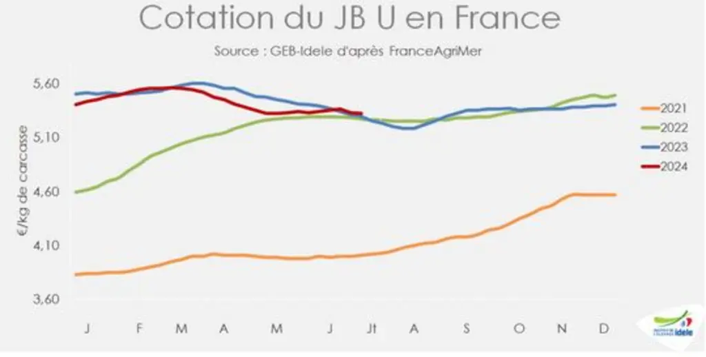 cotation jeunes bovins France