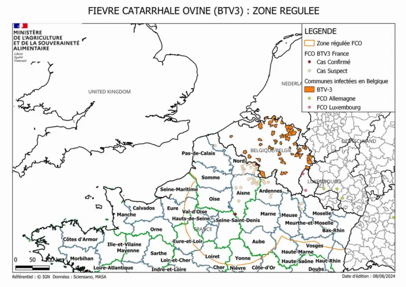 Cartographie de la zone régulée à date du 8 août 2024 pour limiter la progression de la FCO 3 dans les élevages en France.