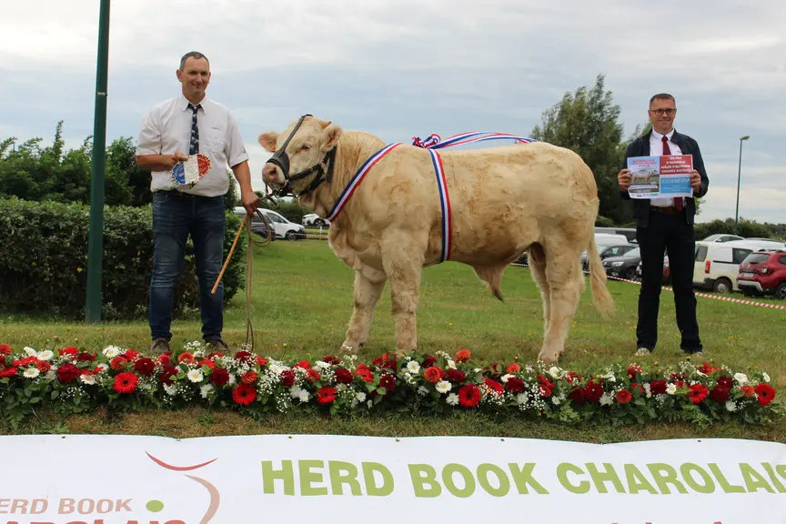concours veaux charolais