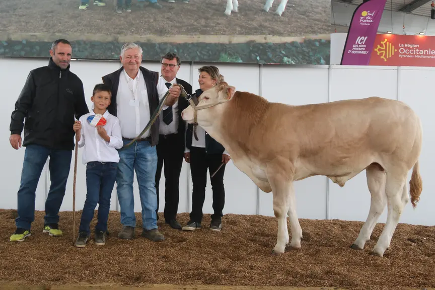 Le taureau Vaillant est le champion mâle espoir blond d'Aquitaine aux Pyrénéennes 2024.