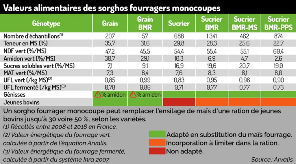 <em class="placeholder">Tableau - Valeurs alimentaires des sorghos fourragers monocoupes pour les bovins viande</em>