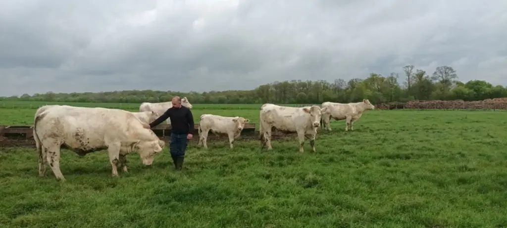Maxime Couillard, situé à Jauzé dans la Sarthe, 169 ha de SAU, 55 vêlages en race charolaise, 1 600 m² de volailles de chair</