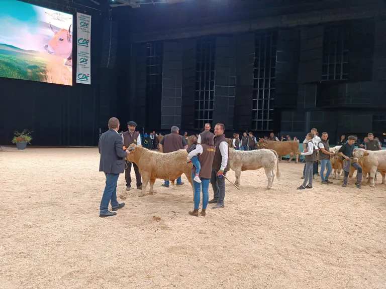 sommet concours aubrac