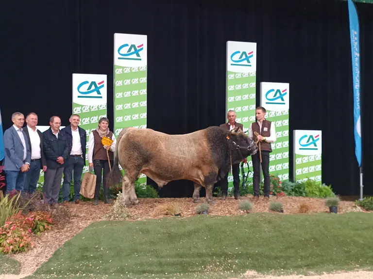 sommet de l'élevage concours aubrac