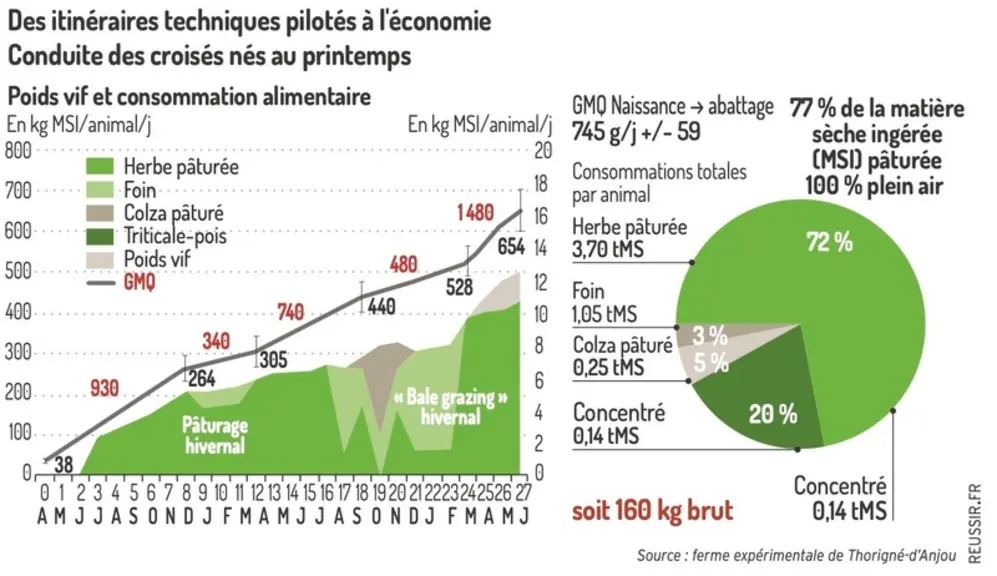 Graphique - Des itinéraires techniques pilotés à l’économieConduite des croisés nés au printemps