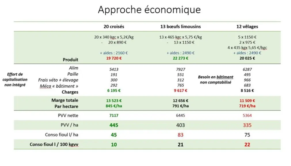 <em class="placeholder">Approche économique de trois scénarios différents pour valoriser 16 ha de surface supplémentaire en autonomie alimentaire (situation initiale 75 vêlages, 125 ha).</em>