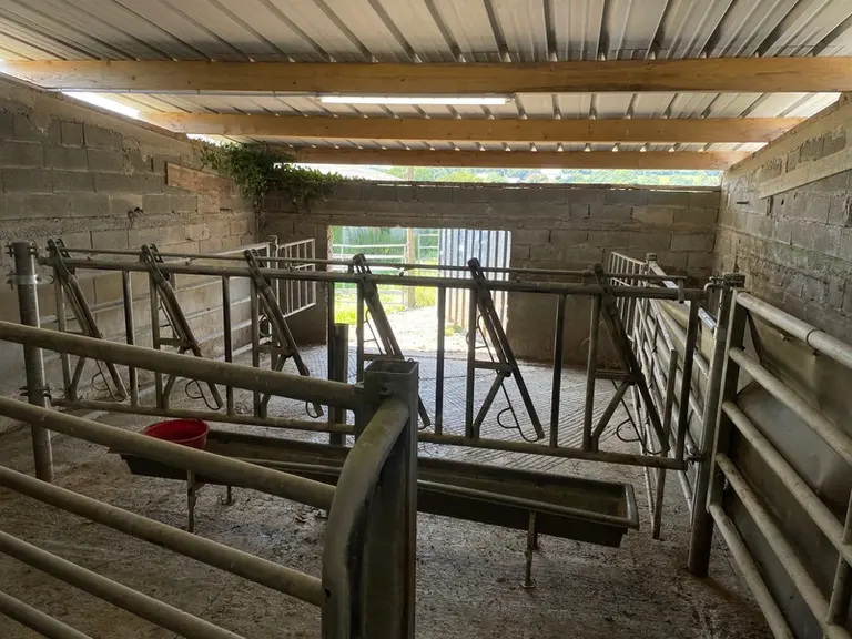 <em class="placeholder">Parc d'attente de l'abattoir Audelea</em>
