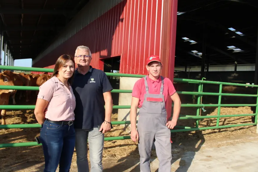 elevage bovins viande limousine pologne